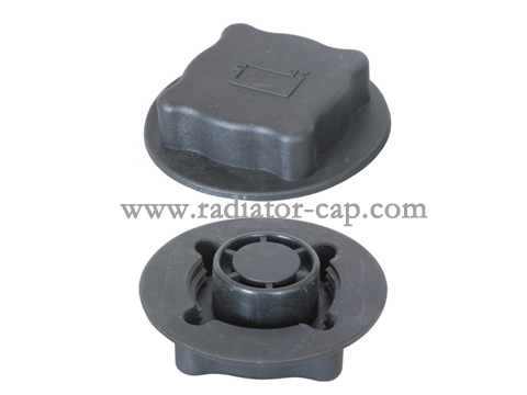 ford fiesta coolant cap replacement